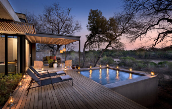 Experience a luxury safari in Sabi Sands