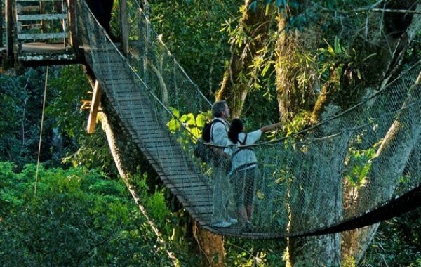Visit a luxury Amazon eco-lodge