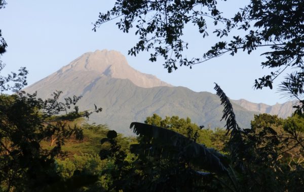 Arrival to Arusha