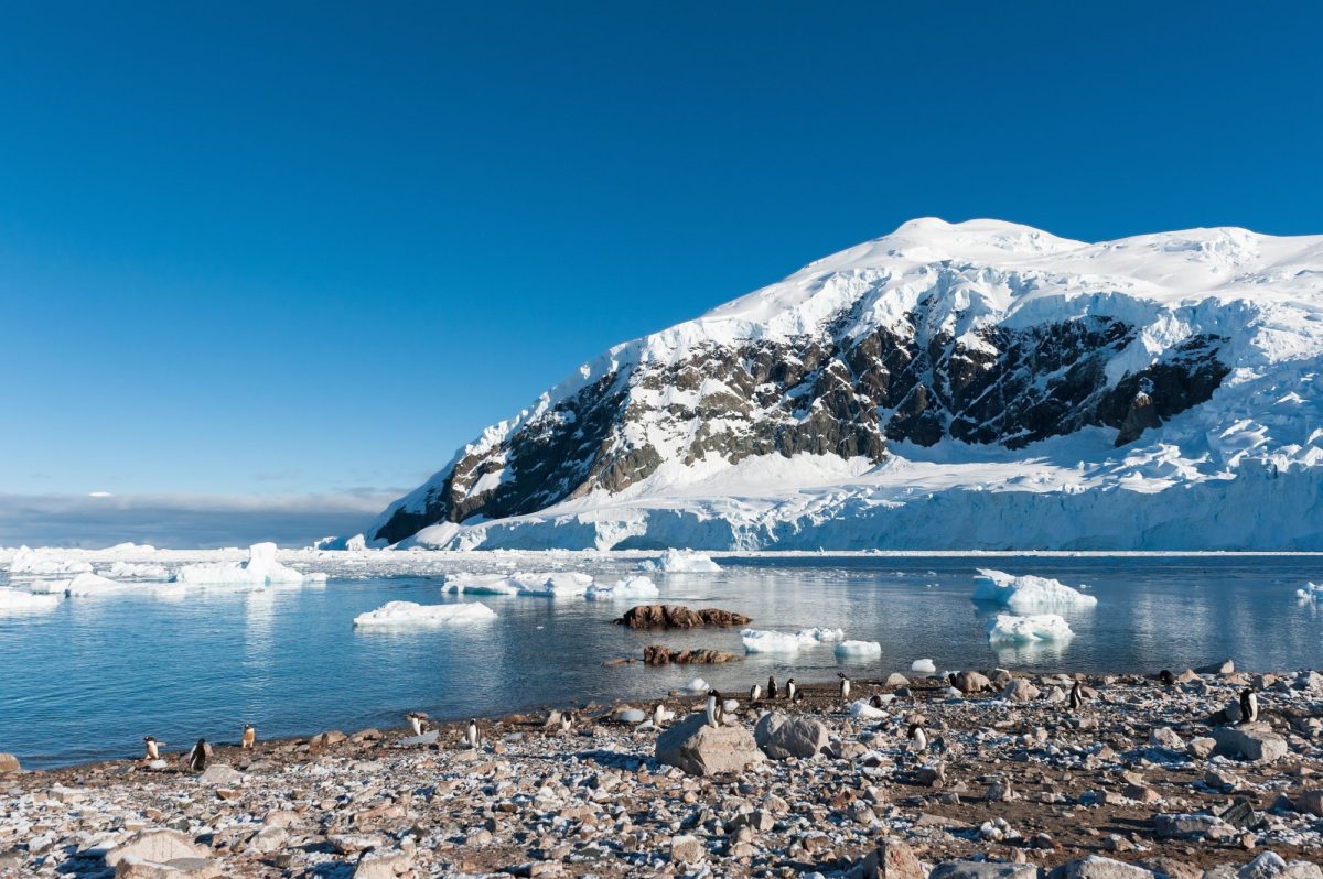 030 Antarctica Paradise Bay