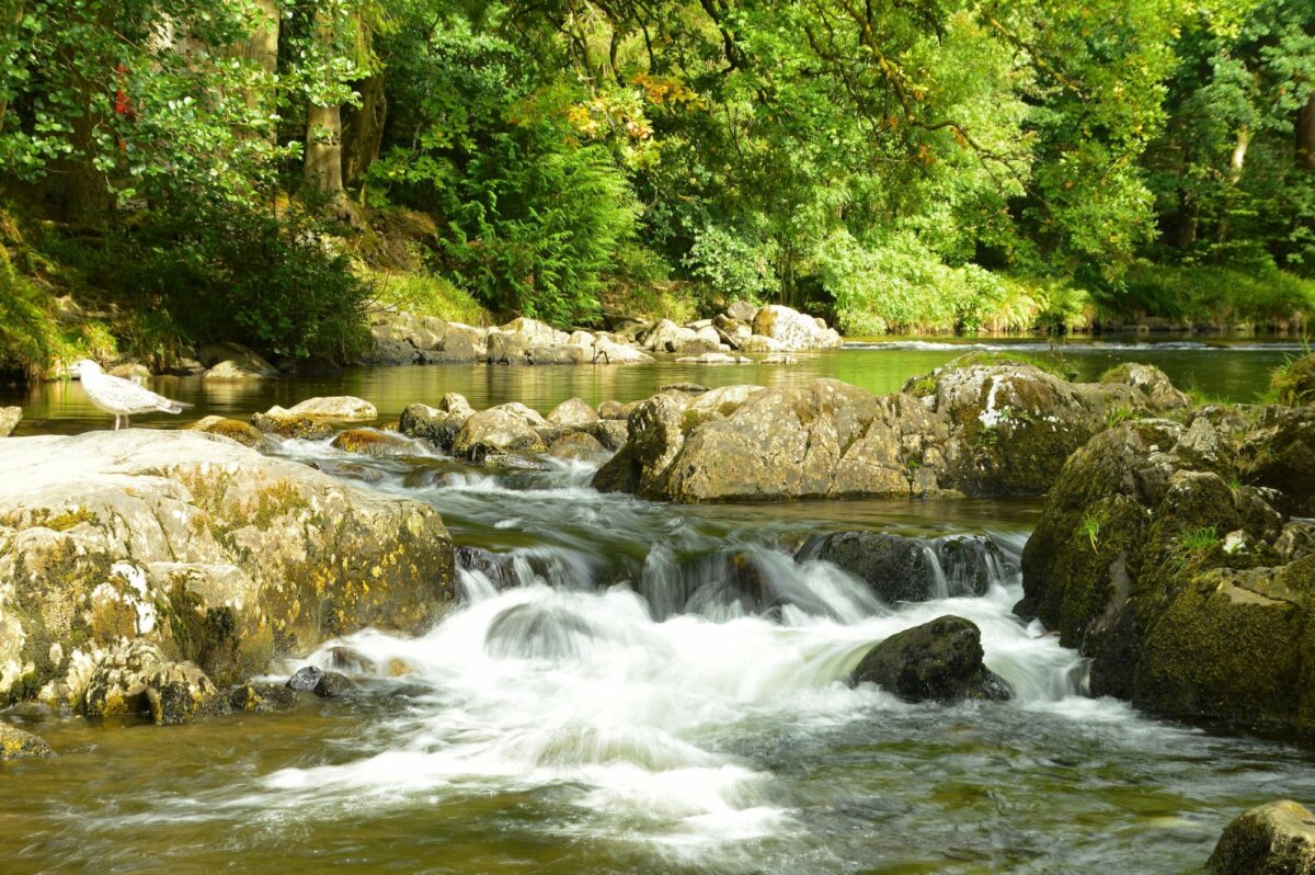 Afon Llugwy at Betwys y Coed Wales UK