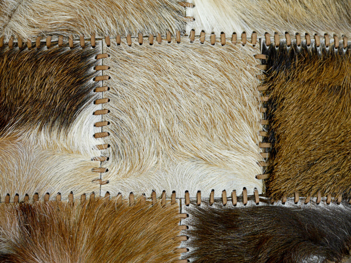 Animal skins 2