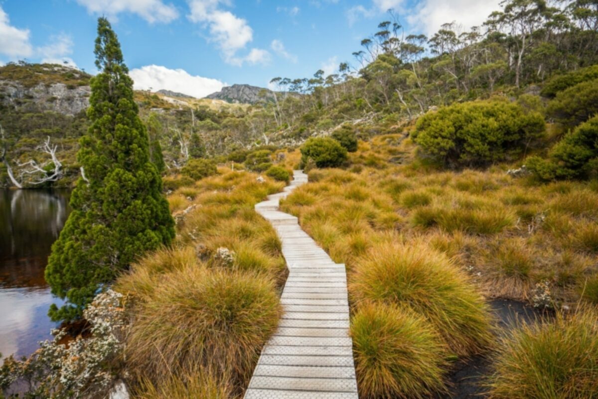 Aus Tasmania Cradle mountain national park 3