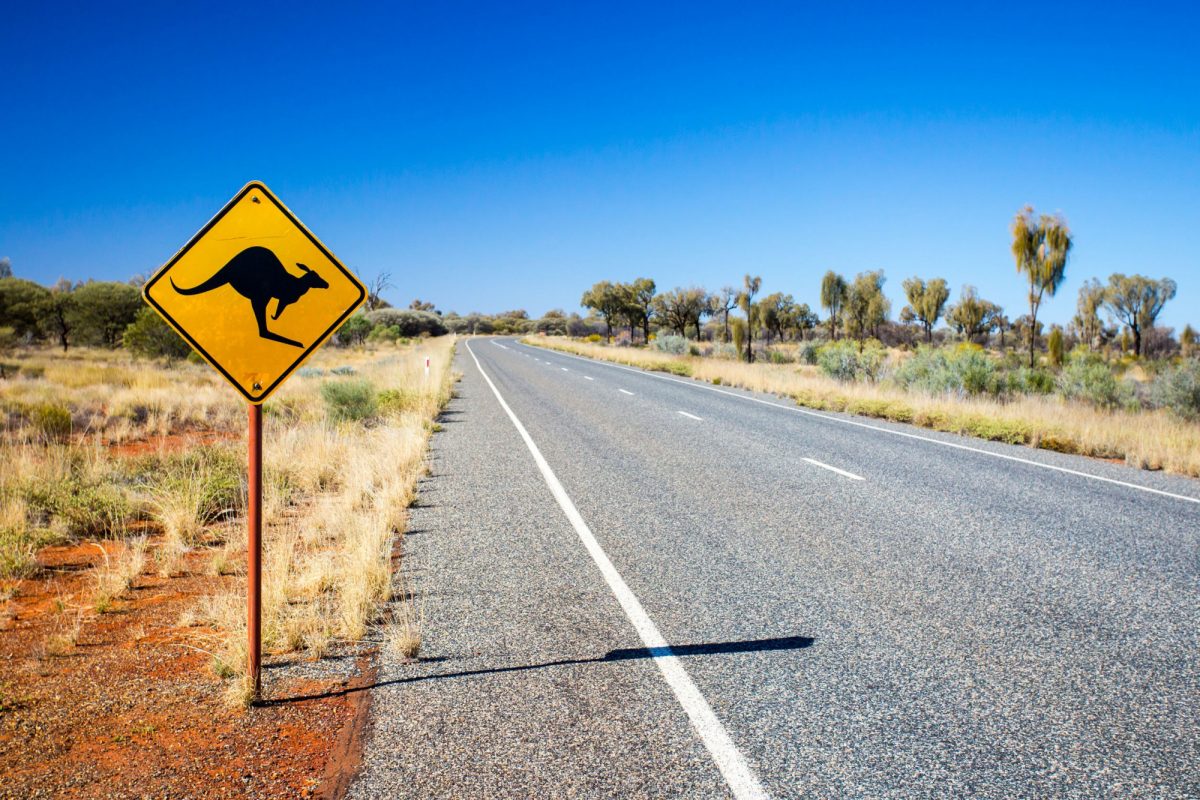 Aus road sign for kangaroos near Uluru in Northern Territory