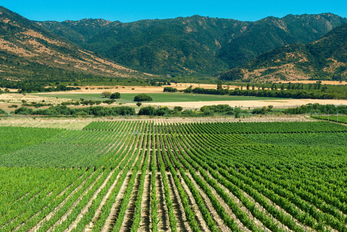 Colchagua-Wine-Route_lowres