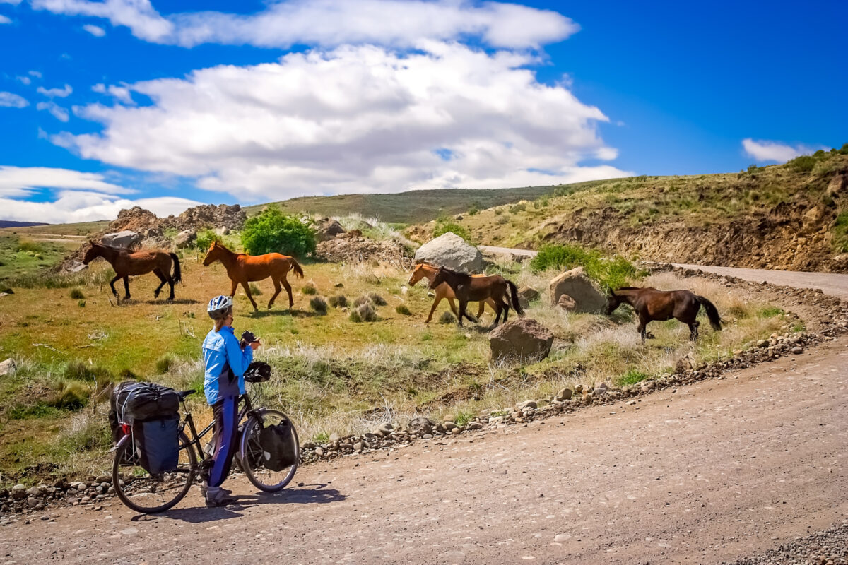 Cycling_ponies