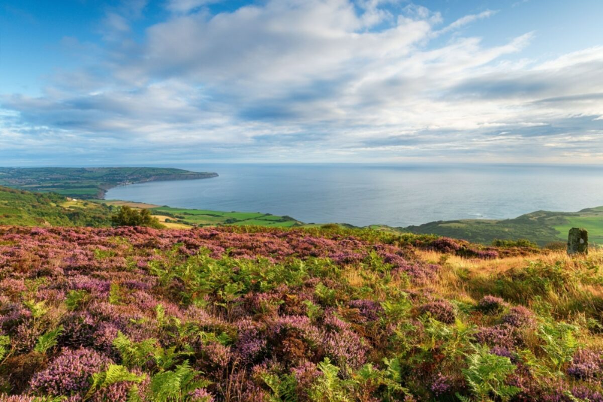 Eng Robin Hoods Bay from Ravenscar