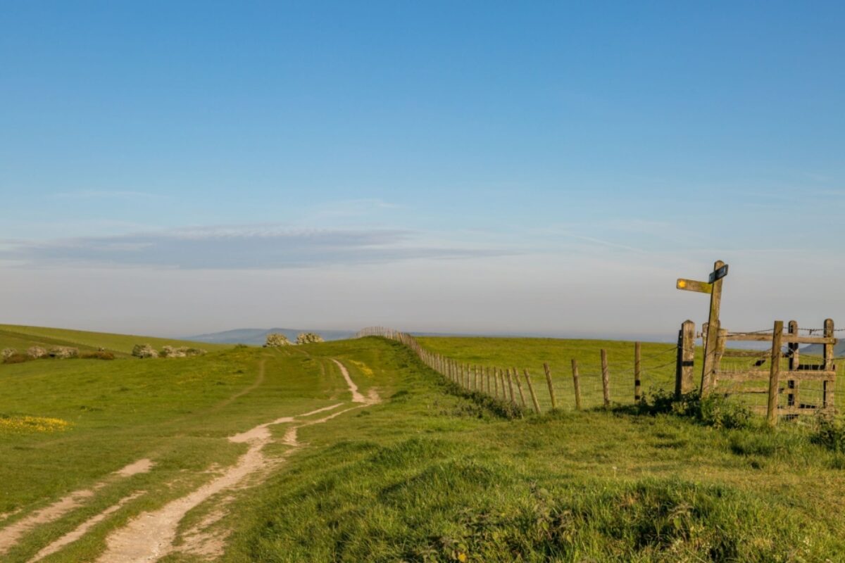 England South Downs Way 3