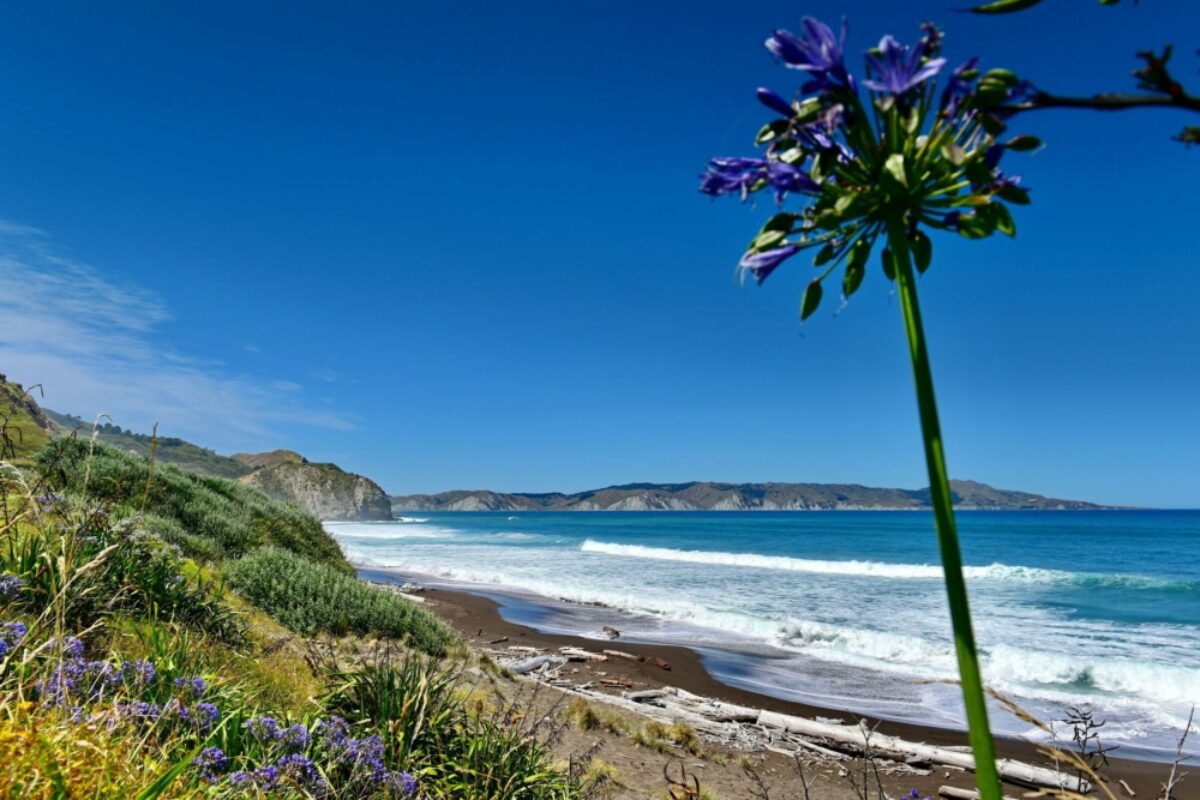 Hawkes Bay Mahia Peninsula