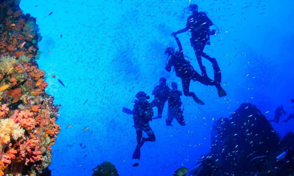 Jordan Red Sea2