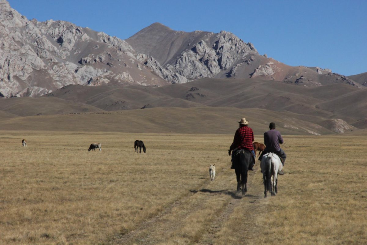 Kalpak Central Asia 1