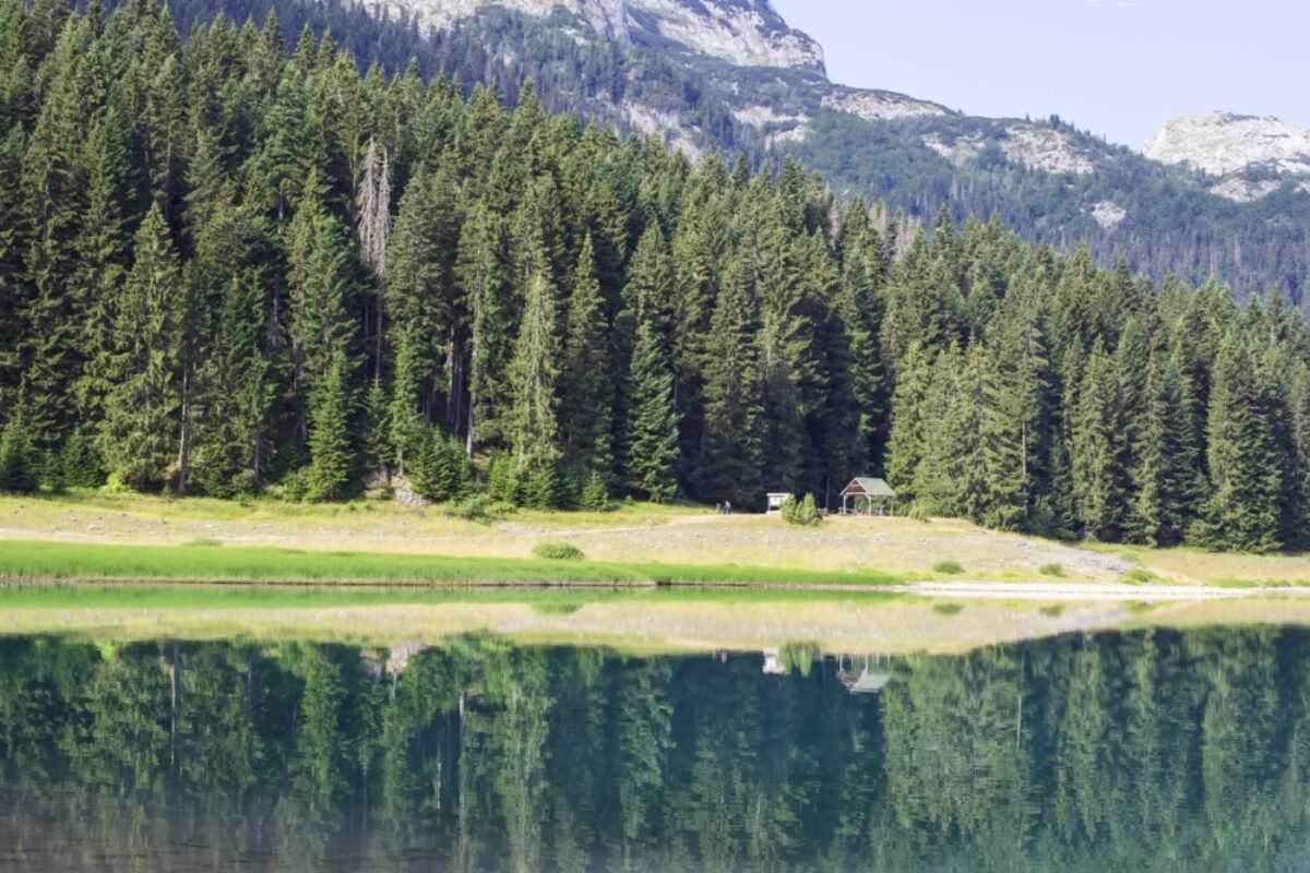 Montenegro Durmitor National Park3