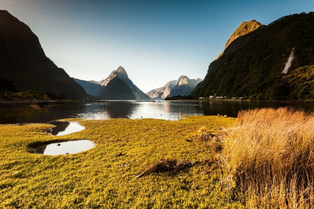 NZ Milford Sound autumn