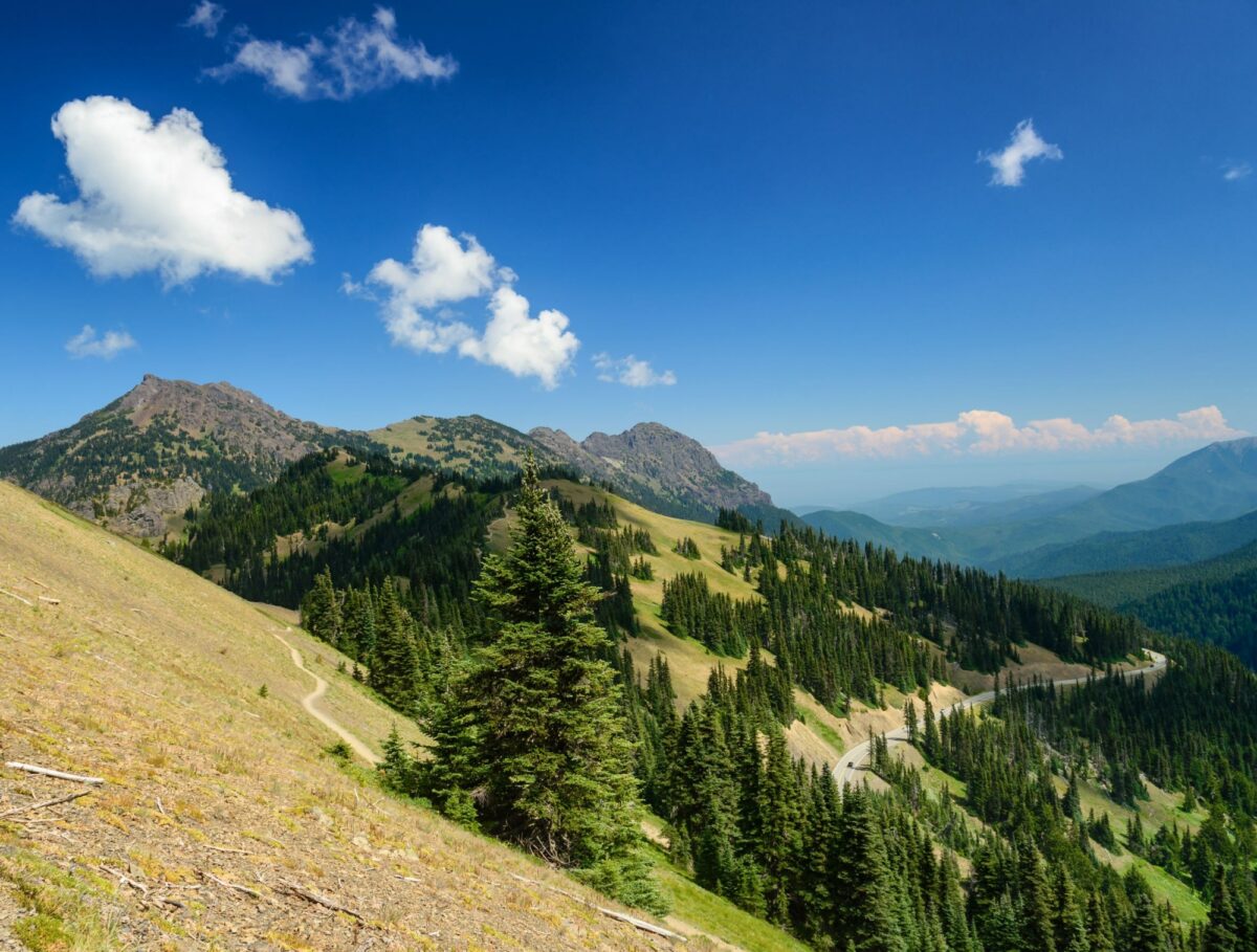 Olympic national park washington USA
