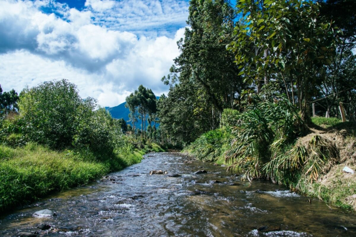 Oxapampa Central Selva Peru