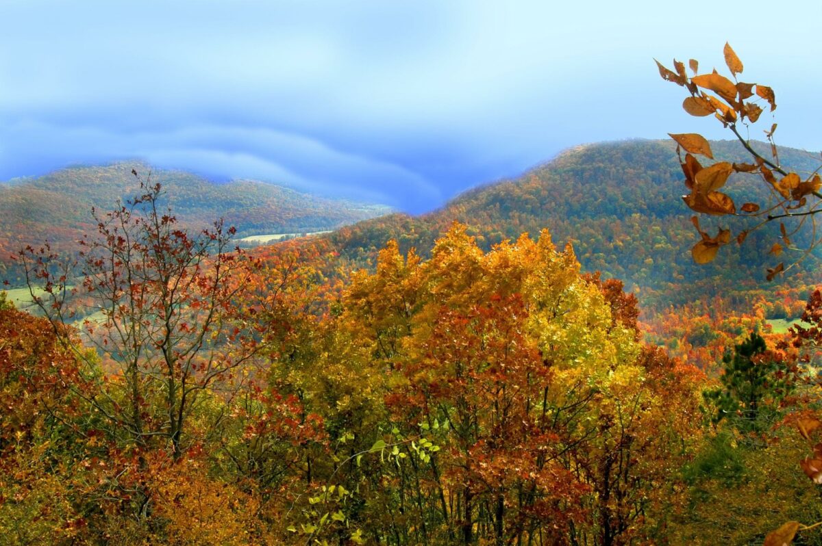Ozark mountains Arkansas usa
