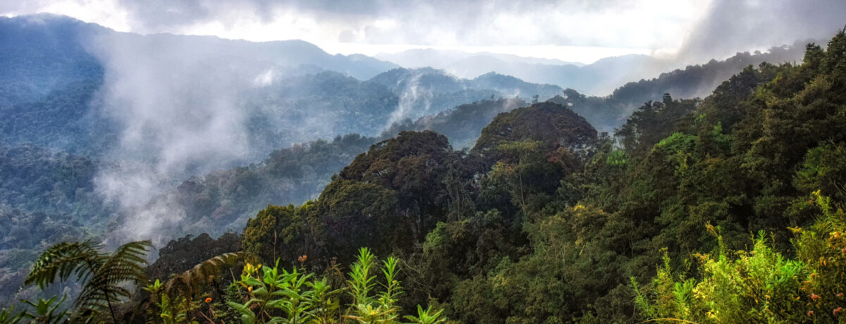 Rwanda Volcanoes