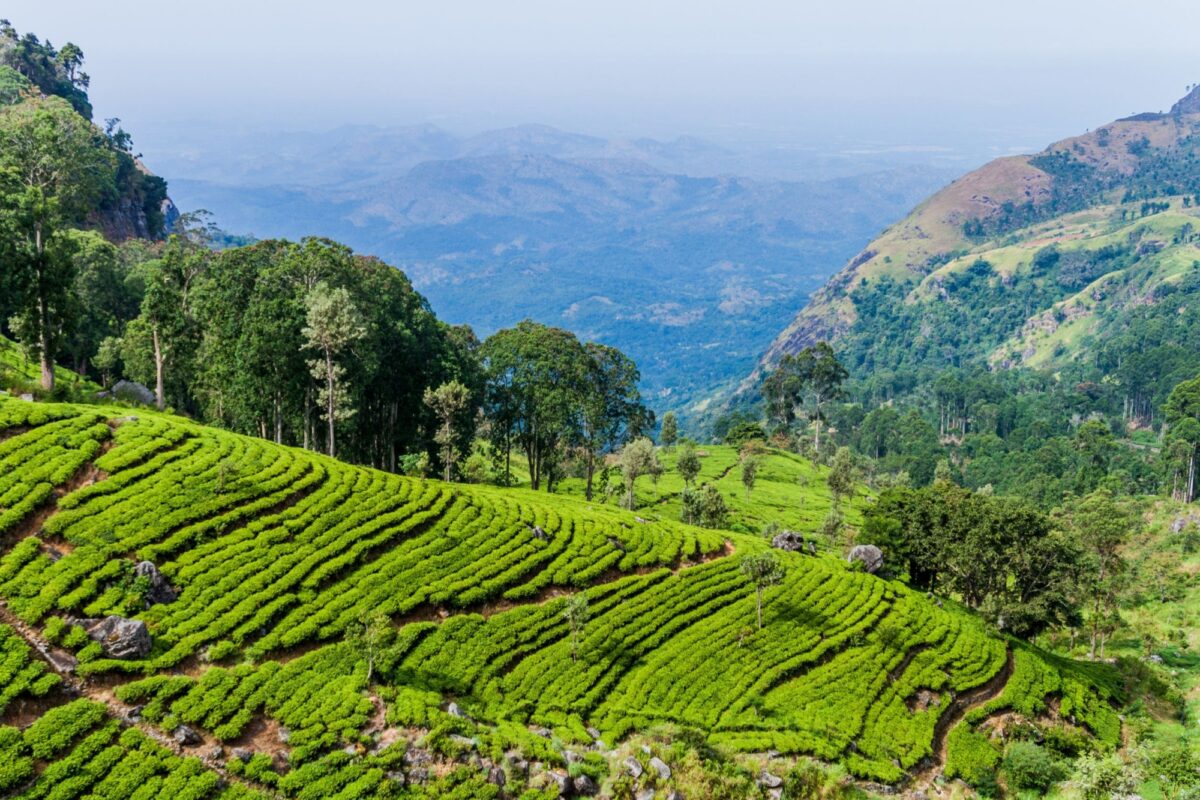 Sri Lanka Haputale4