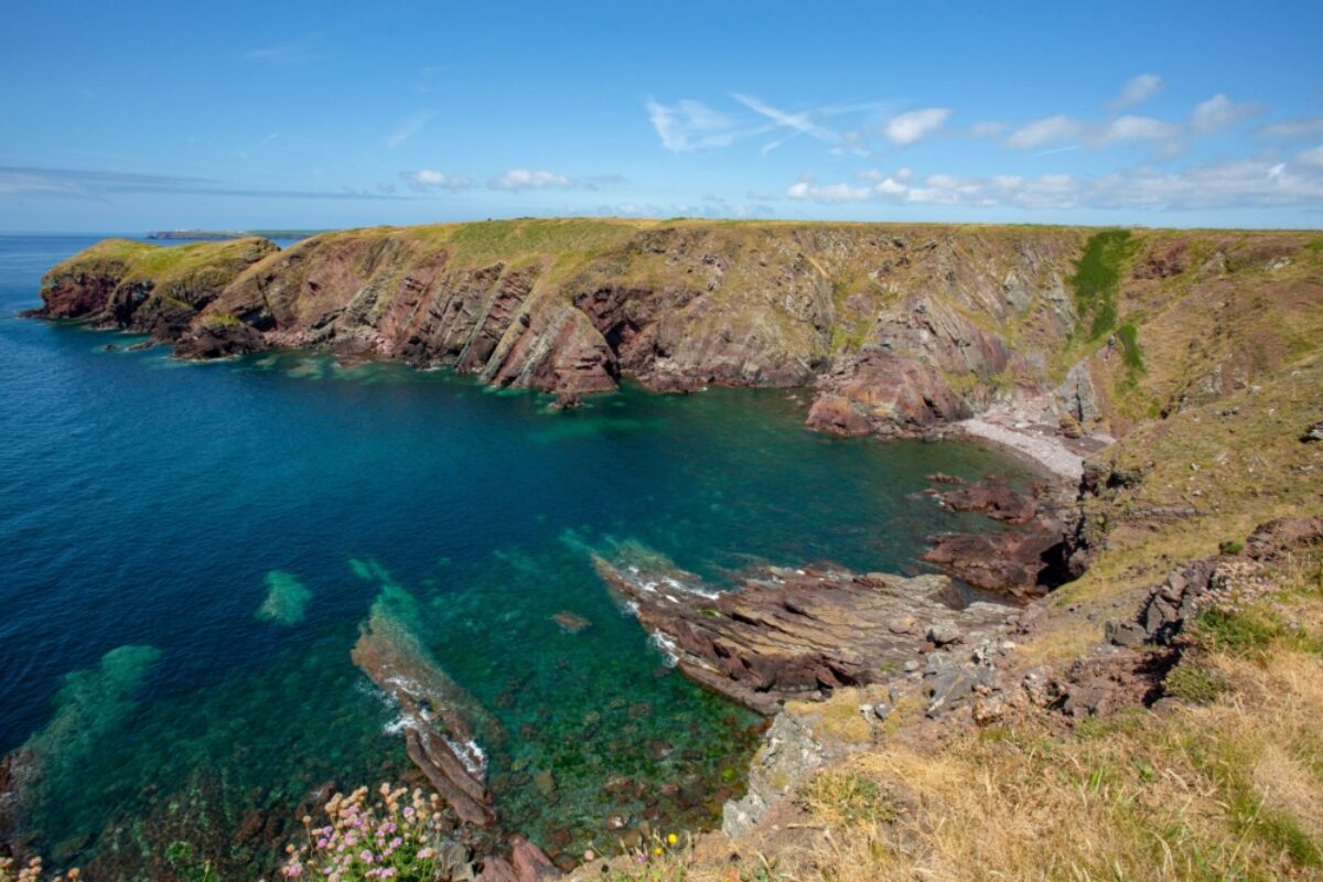 Summer views over Pembrokeshire Coast Path