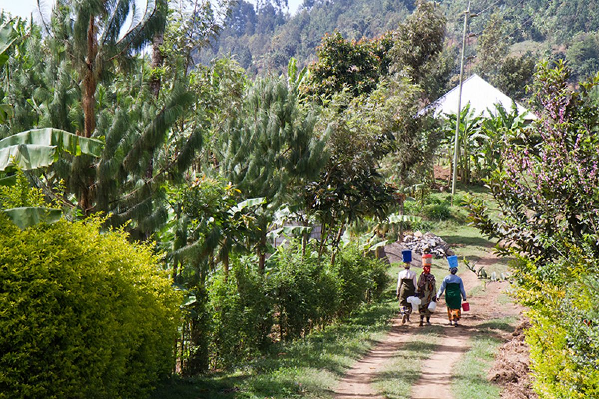 Tanzania near Arusha