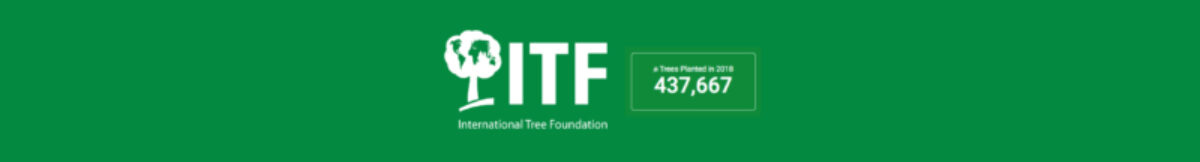 Trees banner smaller