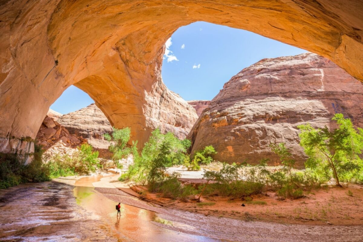 USA arches national park