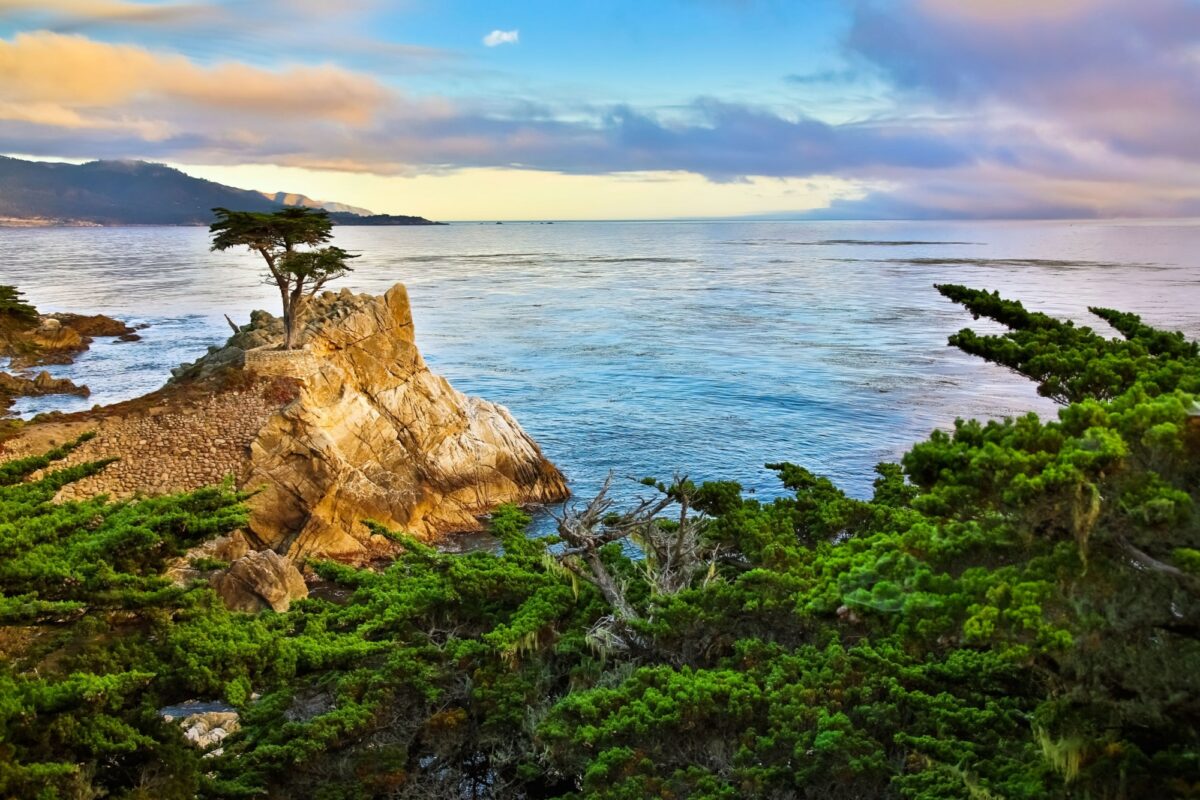 USA Monterey2