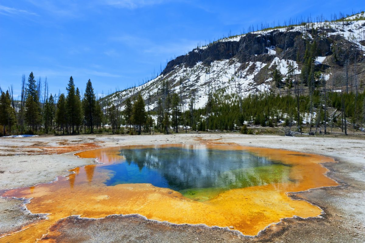 USA Yellowstone