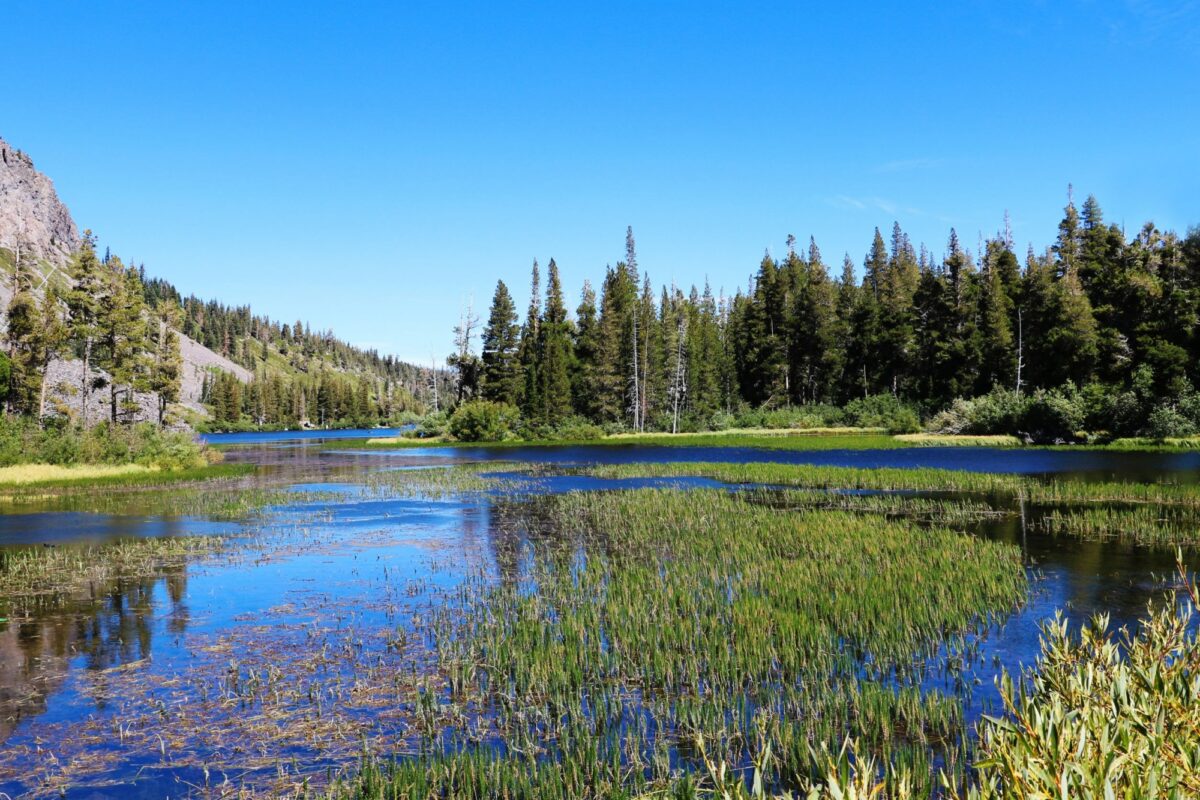 USA mammoth lake