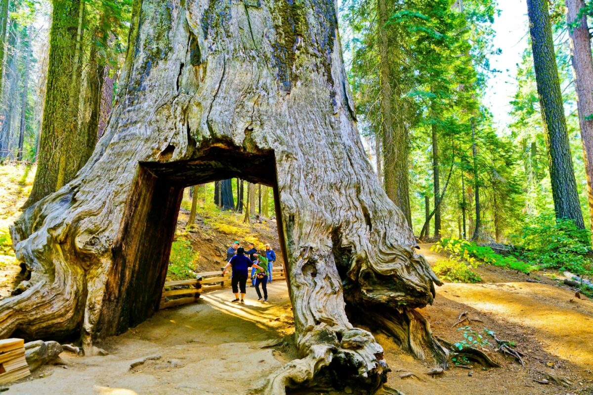 USA yosemite2 copy