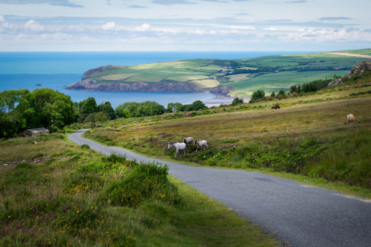 Wales UK Preseli Hills Pembrokeshire