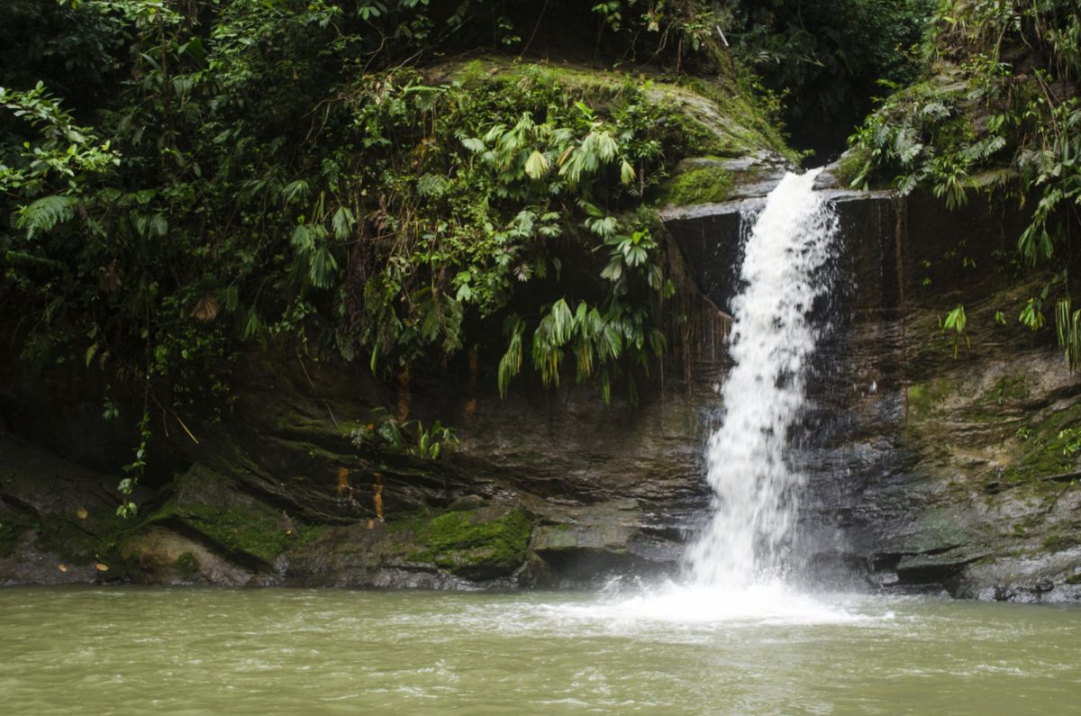 Waterfall Tarapoto Peru