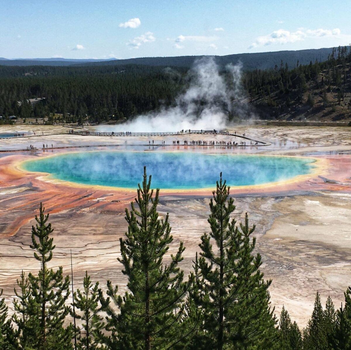 Yellowstone dreamin adventures 3