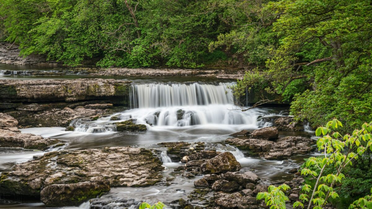 Family Aysgarth Falls Yorkshire Dales UK