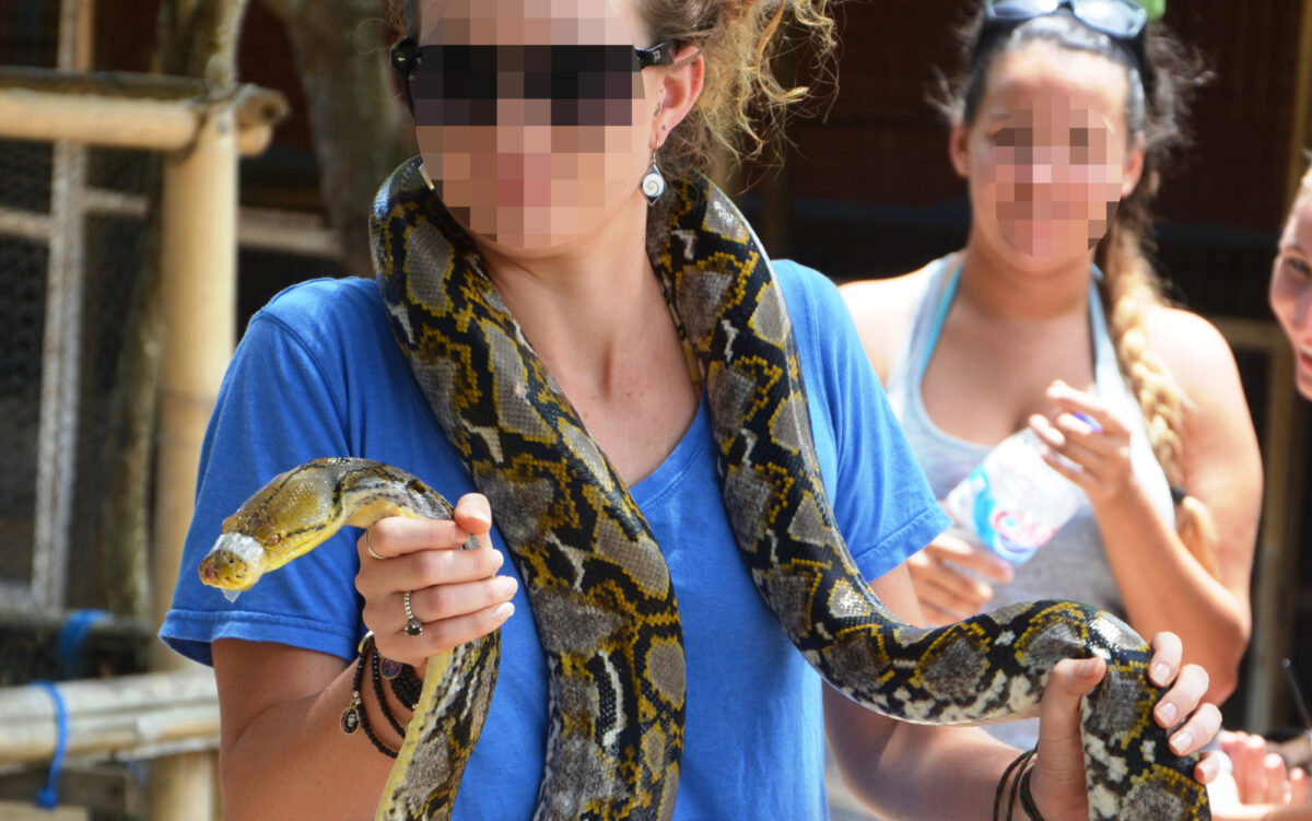 Photo prop snake Born Free Foundation v2 landscape