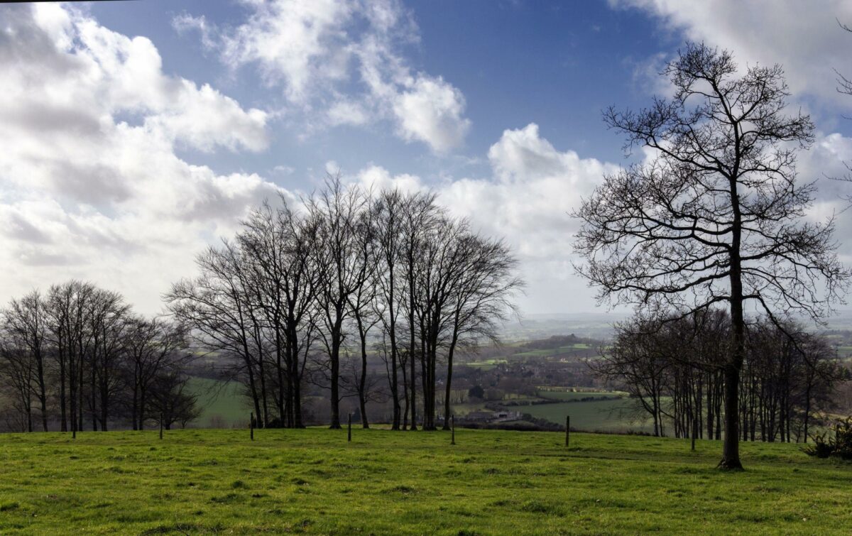 Rolling hills of Cranborne Chase in Dorset UK