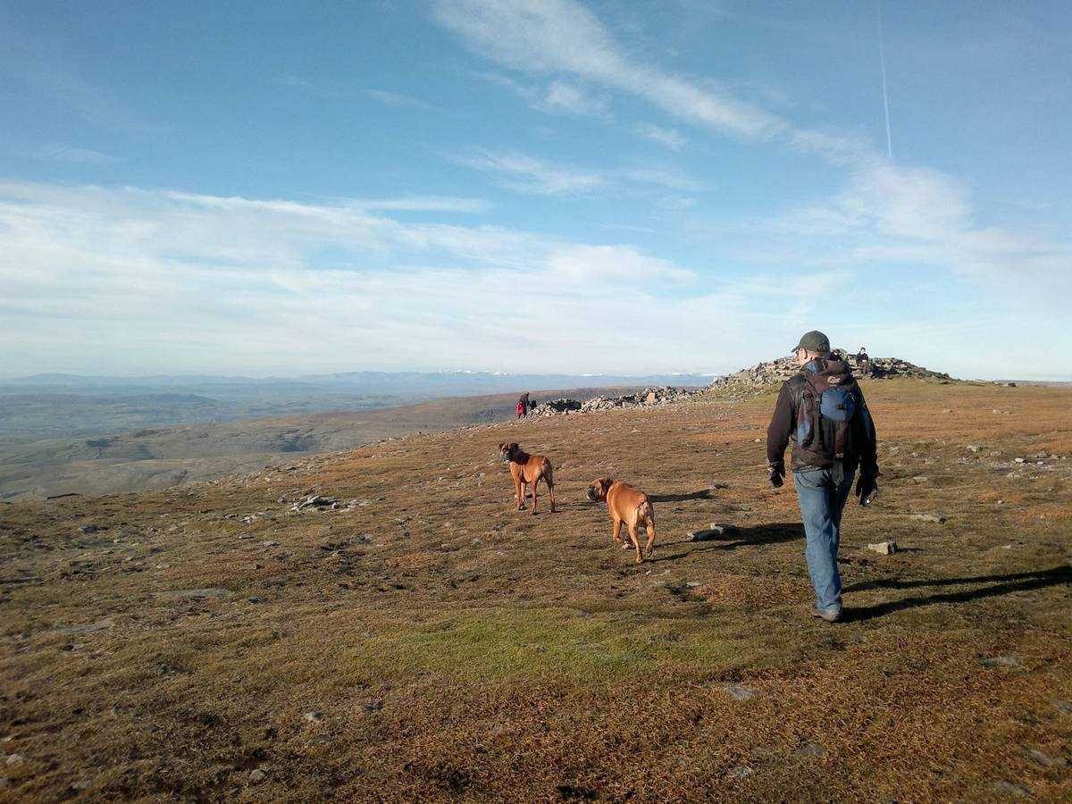 Wandering aengus uk lake district 3
