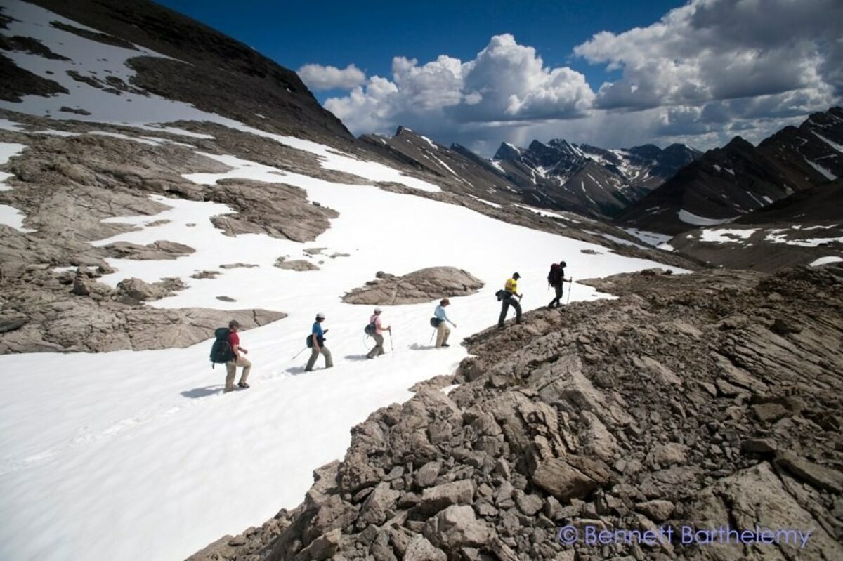 Wildland 3