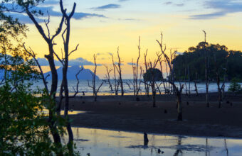 Bako National Park
