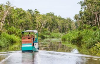 Tanjung Puting National Park