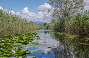 Hutovo Blato Nature Reserve