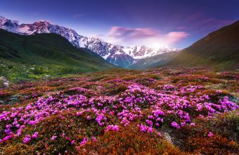 Caucasus