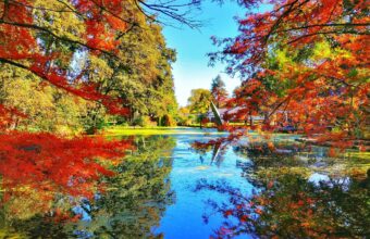 Christchurch