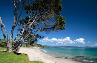 Coromandel