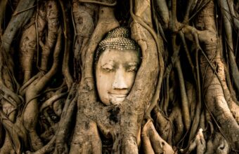 Ayutthaya