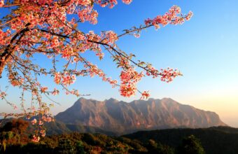 Chiang Dao