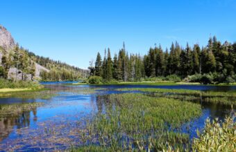 Mammoth Lakes