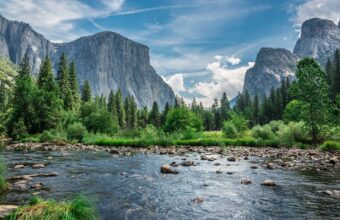Yosemite National Park