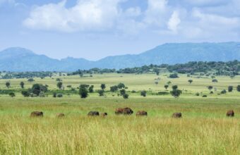 Kidepo Valley