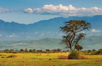 Rwenzori mountains